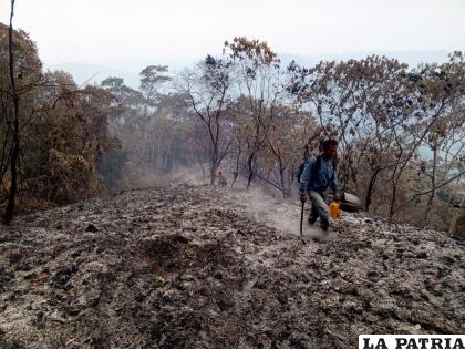 El municipio de Mapiri se ve afectado por los incendios /GAMM