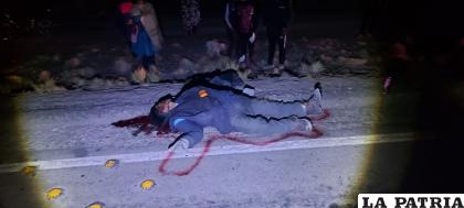 La víctima fue hallada sin vida en la carretera tras ser atropellado /Ministerio Público