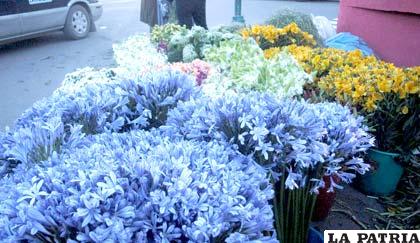 Las flores son traídas desde Cochabamba y algunas de La Paz con un precio más elevado por esta fecha