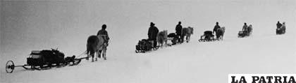 Foto de la expedición polar de Scott, los ponis también perecieron