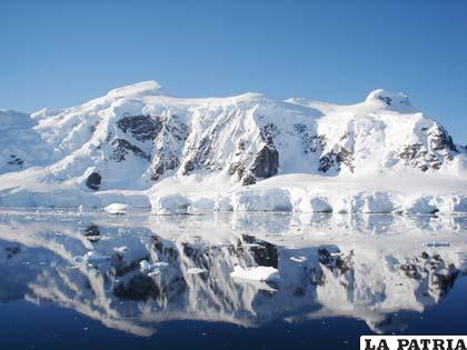 La rápida reducción de la capa de hielo en el Ártico ha causado grave preocupación en la comunidad científica mundial