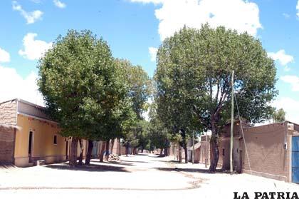 ¿Se podrá distinguir un área rural y una urbana, en Machacamarca?