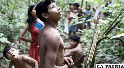 La Amazonía brasileña se encuentra en peligro