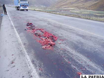 El accidente pasó en la carretera Oruro-Cochabamba