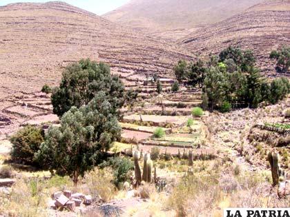 Pintoresco paisaje rural de la provincia Saucarí