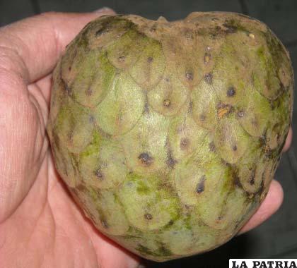 Las propiedades curativas de esta fruta ayudan en la transmisión y generación de impulso nervioso y la actividad muscular