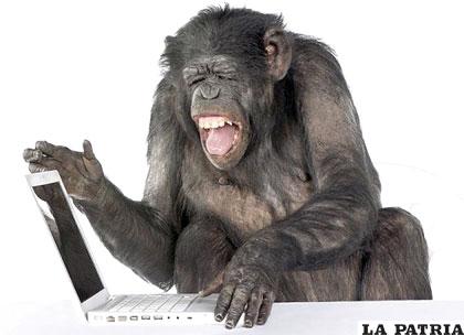 Los chimpancés tienen más memoria de lo que se pensaba