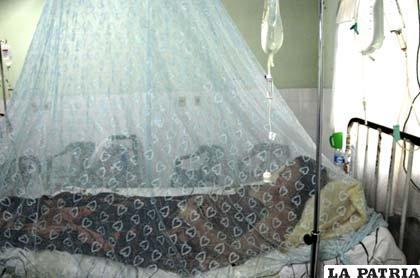 Decenas de personas infectadas con dengue son atendidas en los nosocomios hondureños