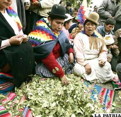 Mucha gente en Bolivia no sabe a dónde se destina la producción de coca