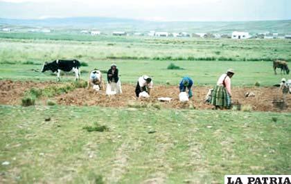 El INE calificó de exitoso el Censo Agropecuario