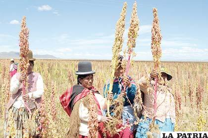 El cierre del Año de la Quinua será en Oruro