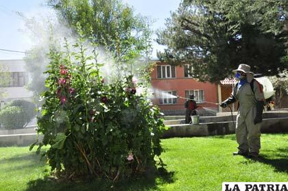 Fumigación en áreas de uso público