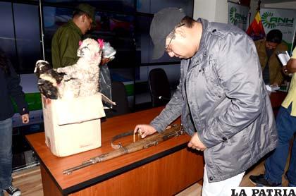 Decomisan animales en peligro de extinción disecados