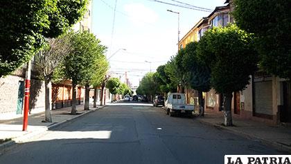 La calle Potosí tiene un atuendo verdusco en época primaveral