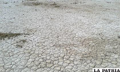Se prevé que fenómeno del Niño provoque sequía en Oruro