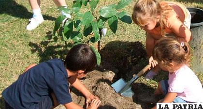 Es importante enseñar a los niños a cuidar el medio ambiente