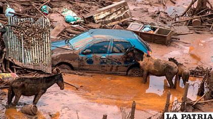 Alud de lodo que arrasó siete poblados del sudeste de Brasil /elonce.com