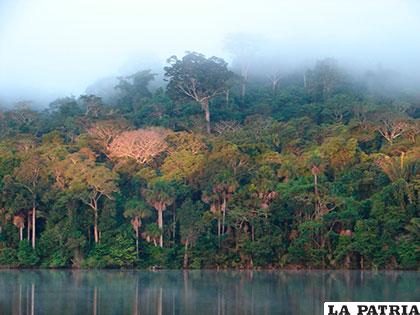 Parque Nacional Madidi