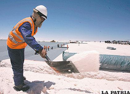 Empresa australiana se suma a otras interesadas en el litio