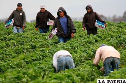 La mayoría de los inmigrantes trabaja en el sector de la agricultura y la construcción