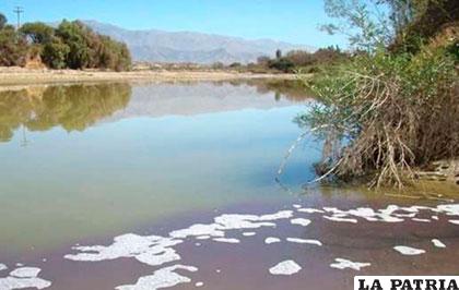 El río Guadalquivir peligra por sus altos niveles de contaminación