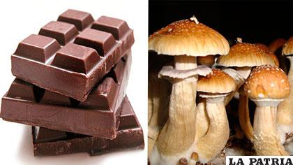 Los chocolates se hacían en base al hongo llamado cucumelo /ERBOL