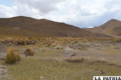 Se espera a que las lluvias puedan ser determinantes para garantizar la subsistencia de las familias en el altiplano