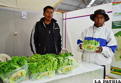 Lechugas producidas en el altiplano son ofertadas en Expoteco