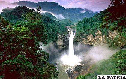 La cuenca del río Amazonas alberga el bosque lluvioso más extenso de la Tierra