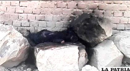 Captura del vídeo donde se ve al can humeando después de ser quemado