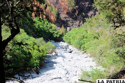 Las fuentes de agua en la Reserva de Sama se están secando
