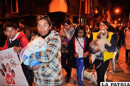 Alcalde convocará a una reunión a las organizaciones protectoras de animales /Archivo