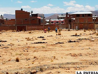 Comenzó la labor de limpieza para luego demarcar los campos deportivos