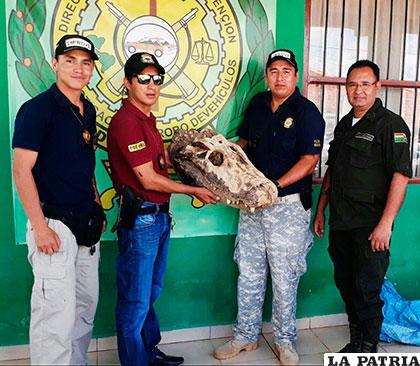 Los funcionarios policiales posaron con la cabeza del caimán