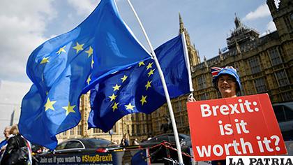 Una activista contra el Â´brexitÂ´ protesta en Londres frente al Palacio de Westminster /diariodejerez.es