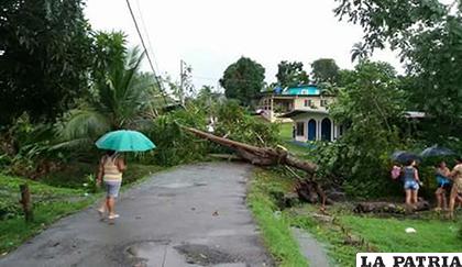 La comunidad chuquisaqueña de Chuncusla fue afectada por las lluvias y vientos huracanados /fmbolivia.com.bo
