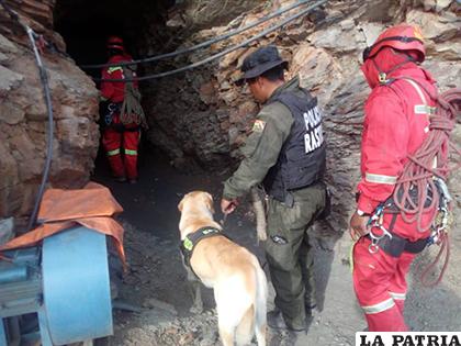 Policías ingresando a la mina/ Nayma Enriquez