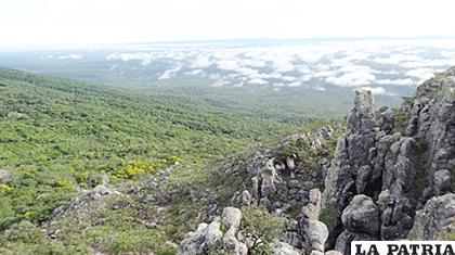 Una vista del Parque Tucabaca /La Región
