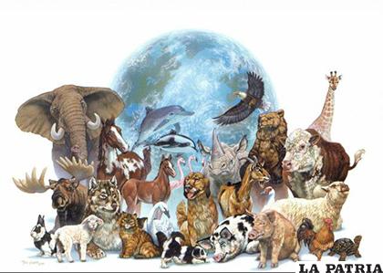 Diferentes especies de animales que habitan el mundo/  LISTAS.20MINUTOS.ES
