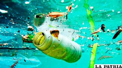 Los plásticos se han convertido en un elemento peligroso para la naturaleza / OKDIARIO.COM