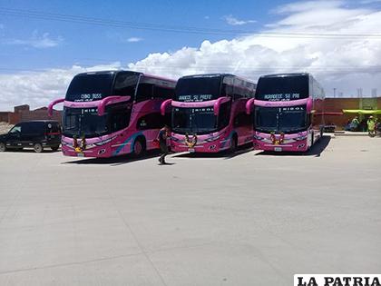 Modernos buses con los que cuenta Chino Buss /LA PATRIA