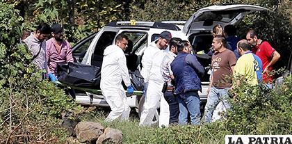 Forenses de la Policía mexicana retiran los cadáveres en el camino a Ocotillo, en México /AFP

