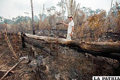 En el mes de agosto parte de la Amazonía brasileña ardió por varios días /eluniversal.com.co
