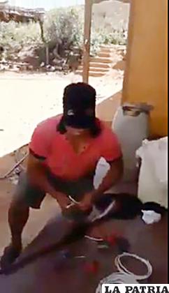 El cocalero Faustino Yucra en un video publicado en Youtube incitando a la sedición / Youtube