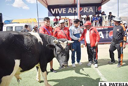 Los organizadores entregaron como premios, trofeos, medallas y un toro a cada equipo campeón /Reynaldo Bellota /LA PATRIA
