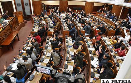 La Asamblea anuló las elecciones tachadas de fraude y aprobó llamar a nuevos comicios /APG