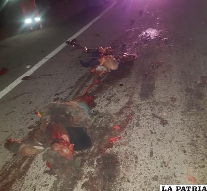 Los restos del sujeto fueron hallados sobre la carretera /LA PATRIA