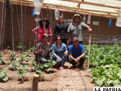 Las carpas solares una buena alternativa para producción
