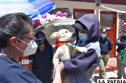 Los cachorros demuestran cariño a sus nuevos dueños
