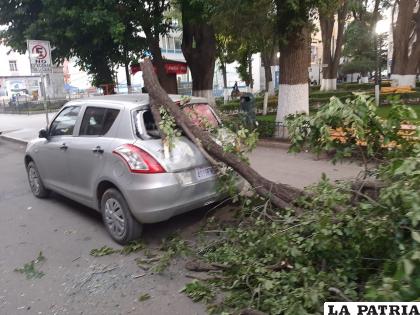 Fue un hecho fortuito provocado por los ventarrones

